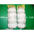 Chinese Pure White Garlic with Small Packing